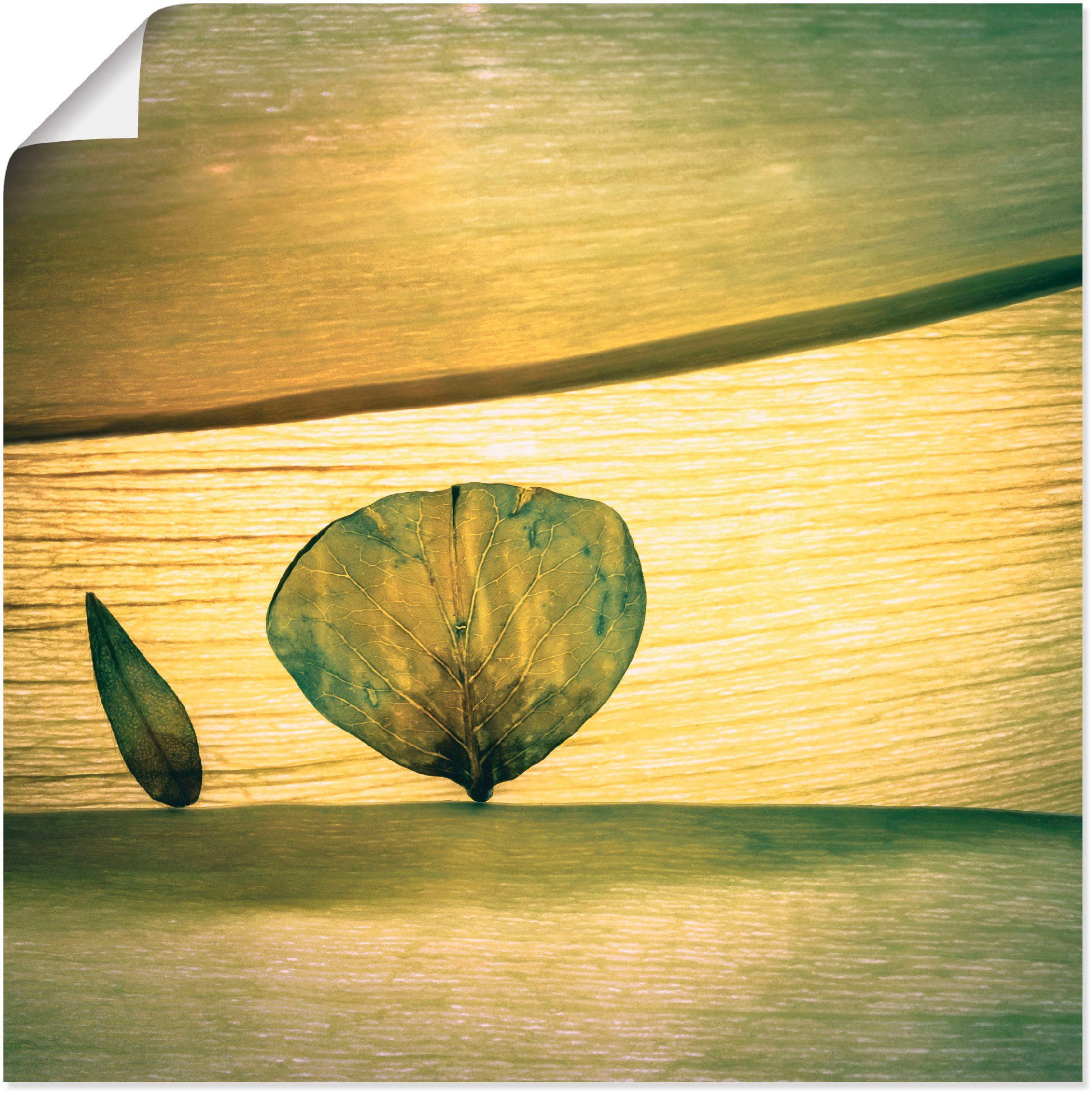 [Herausforderung zum niedrigsten Preis! ] Artland Wandbild Frühling?, Blätter (1 Alubild, St), als Größen versch. in Wandaufkleber Leinwandbild, oder Poster