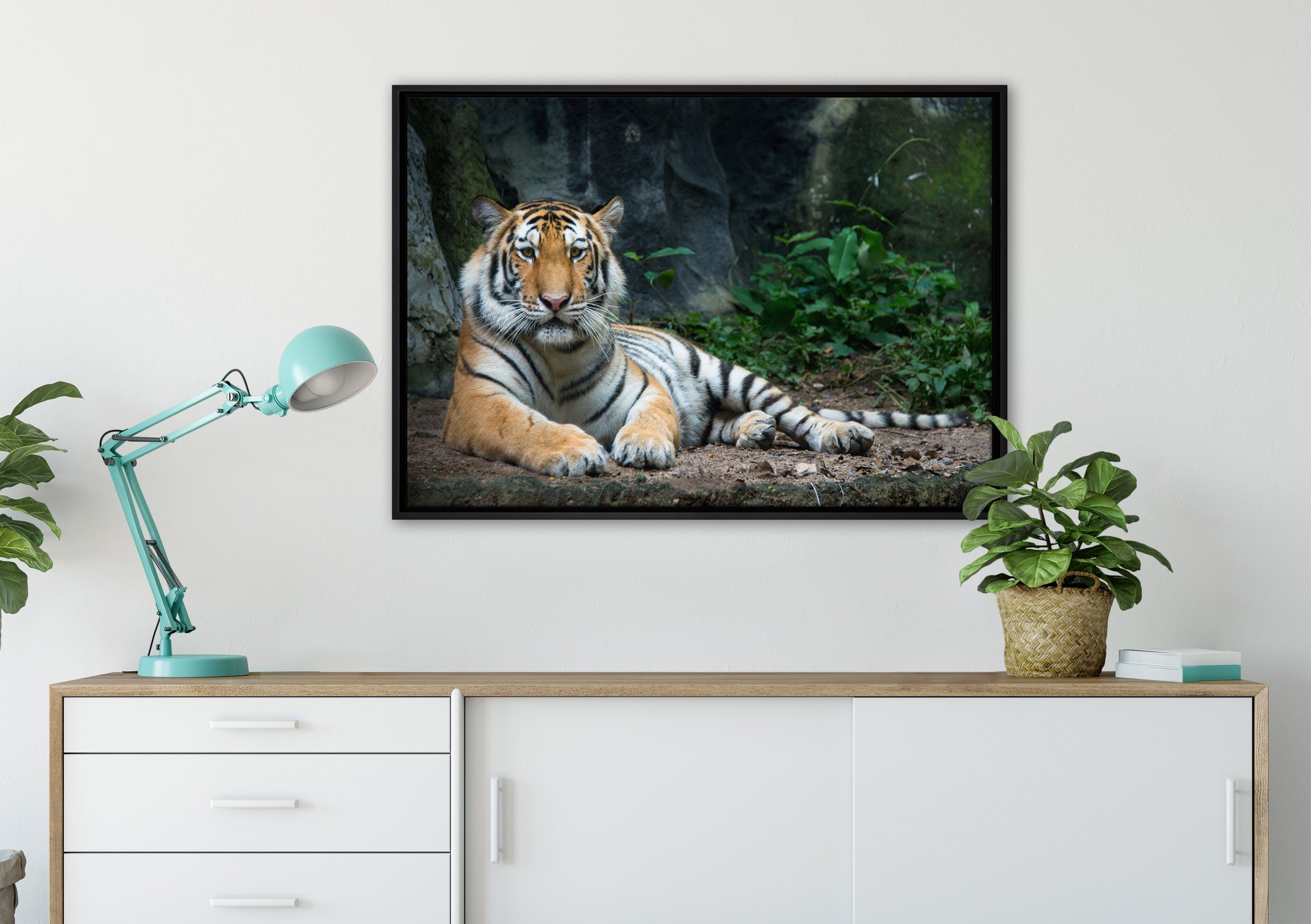 Pixxprint Leinwandbild Liegender Tiger, einem Wanddekoration (1 bespannt, St), in fertig Zackenaufhänger Schattenfugen-Bilderrahmen gefasst, Leinwandbild inkl