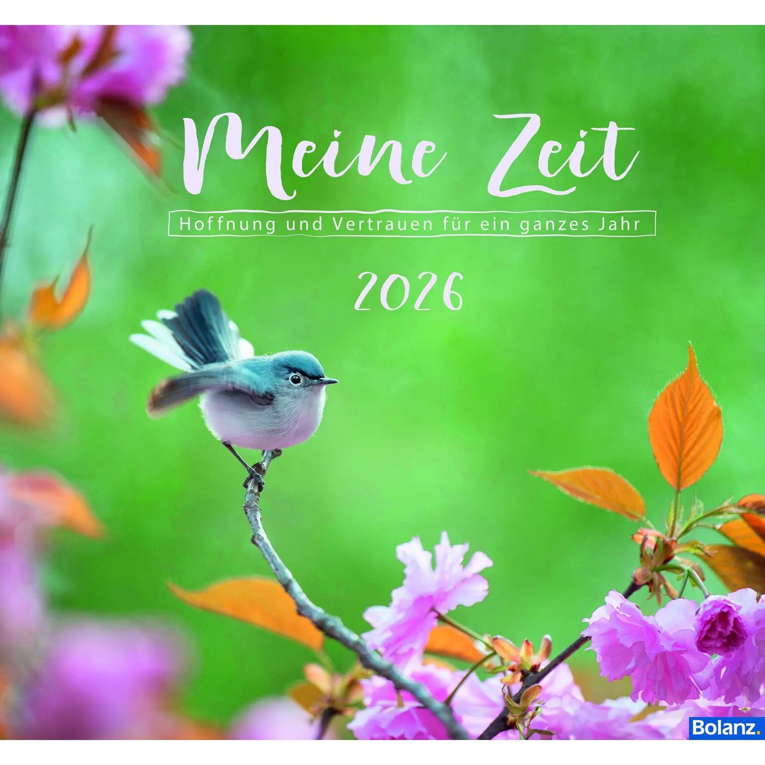Wandkalender Meine Zeit 2026