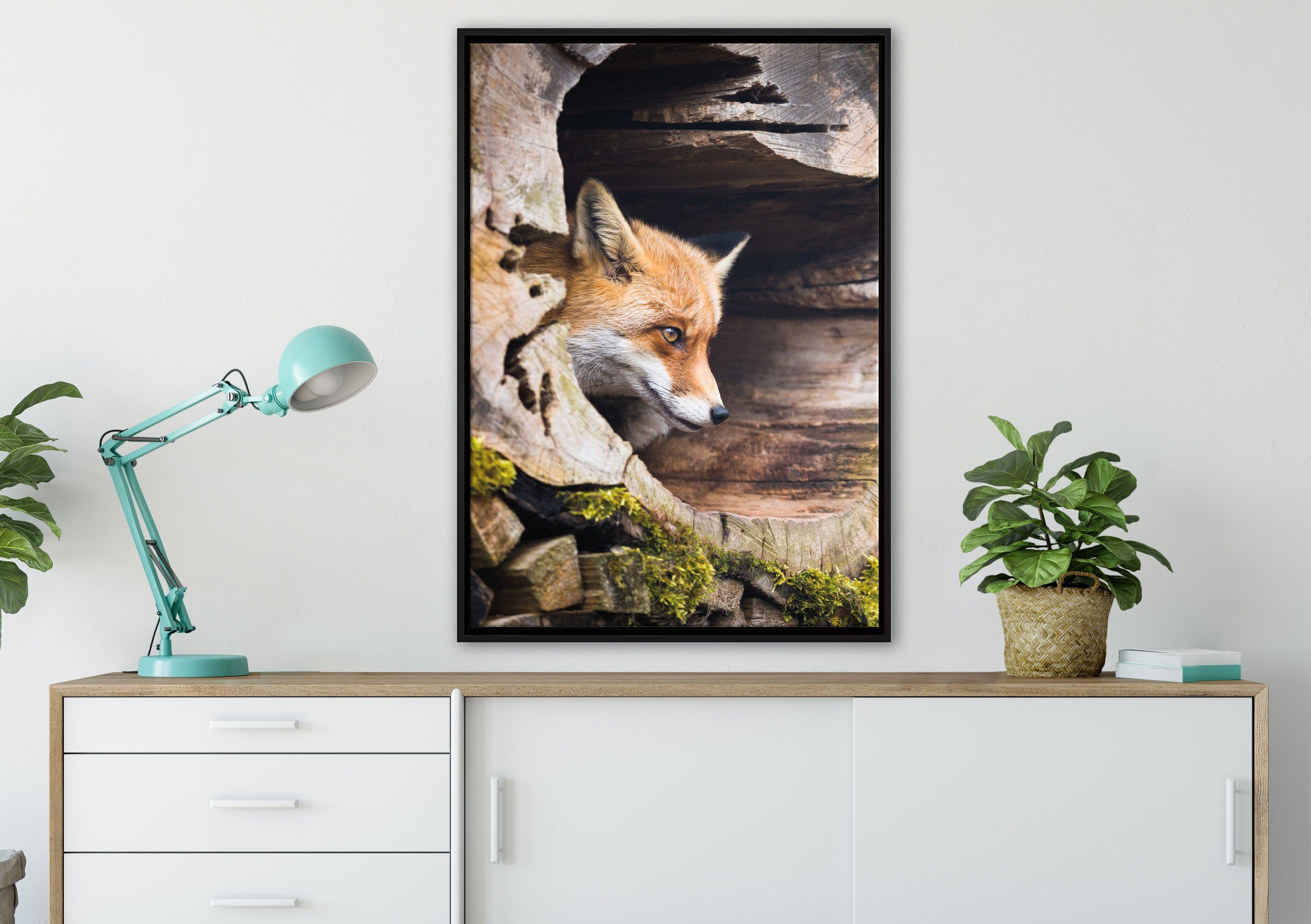 (1 St), gefasst, Zackenaufhänger Baumstamm, im bespannt, Leinwandbild Pixxprint Leinwandbild inkl. einem Schattenfugen-Bilderrahmen fertig Fuchs in Wanddekoration