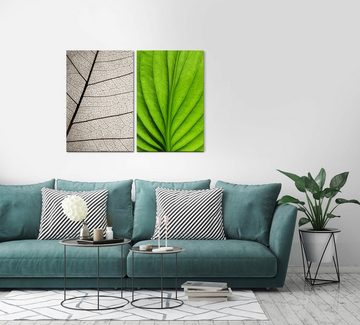 Sinus Art Leinwandbild 2 Bilder je 60x90cm Grünes Blatt Blattadern Pflanze Transparent Leichtigkeit Sanft Beruhigend