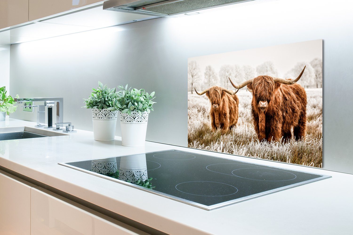 Schottischer küchen Kuh cm, (1-tlg), Wandschutz, Temperaturbeständig Natur Hochländer Herdblende - MuchoWow - Winter, Küchenrückwand 60x40 - aus