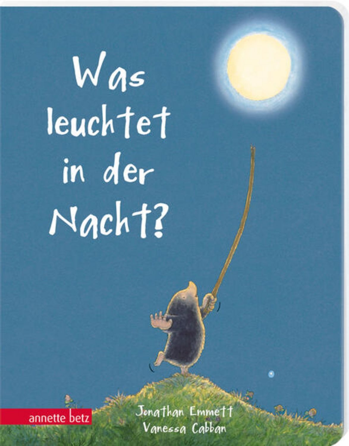 Was leuchtet in der Nacht? / Jonathan Emmett