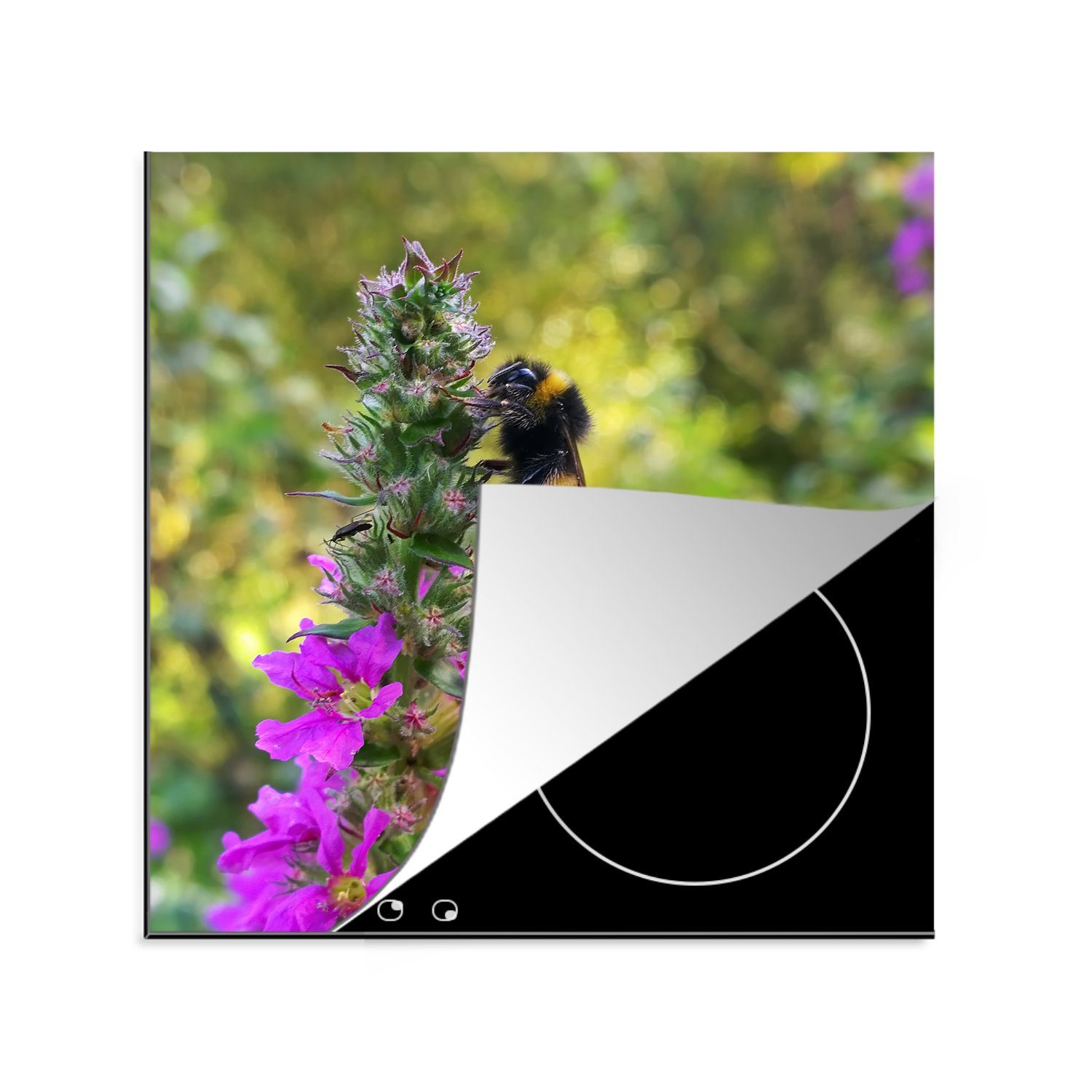 MuchoWow Herdblende-/Abdeckplatte Hummel inmitten der Wildblumen, Vinyl, (1 tlg), 78x78 cm, Ceranfeldabdeckung, Arbeitsplatte für küche