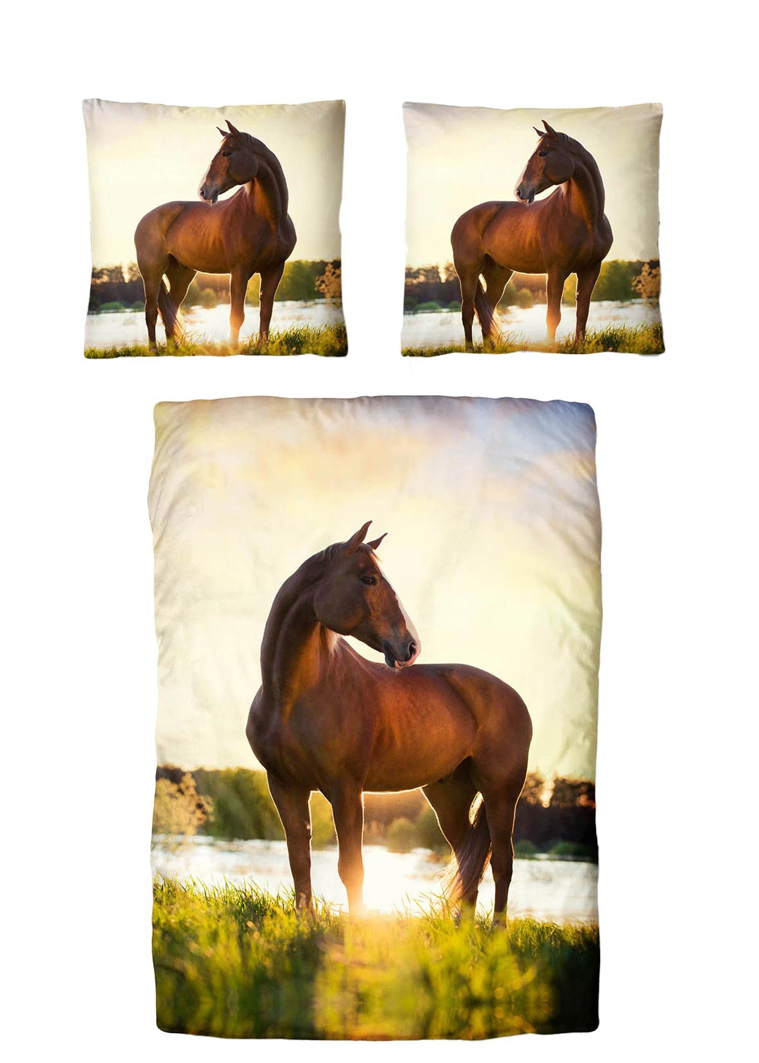 Traumschloss Bettwäsche TS Edition, Baumwolle, 2 günstig online kaufen