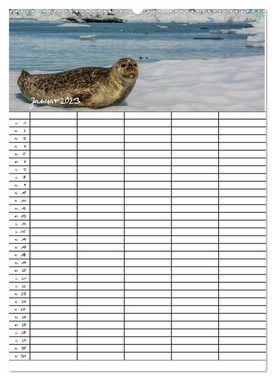 CALVENDO Wandkalender Sehnsucht Island Familienplaner 2023 (Premium, hochwertiger DIN A2 Wandkalender 2023, Kunstdruck in Hochglanz)