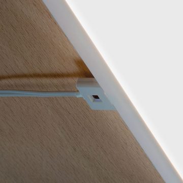 Paulmann Unterschrankleuchte Function Ace LED Unterschrank Panel aus Metall in weiß, 100 x 300 mm, keine Angabe, Leuchtmittel enthalten: Ja, fest verbaut, LED, warmweiss, Möbelleuchten