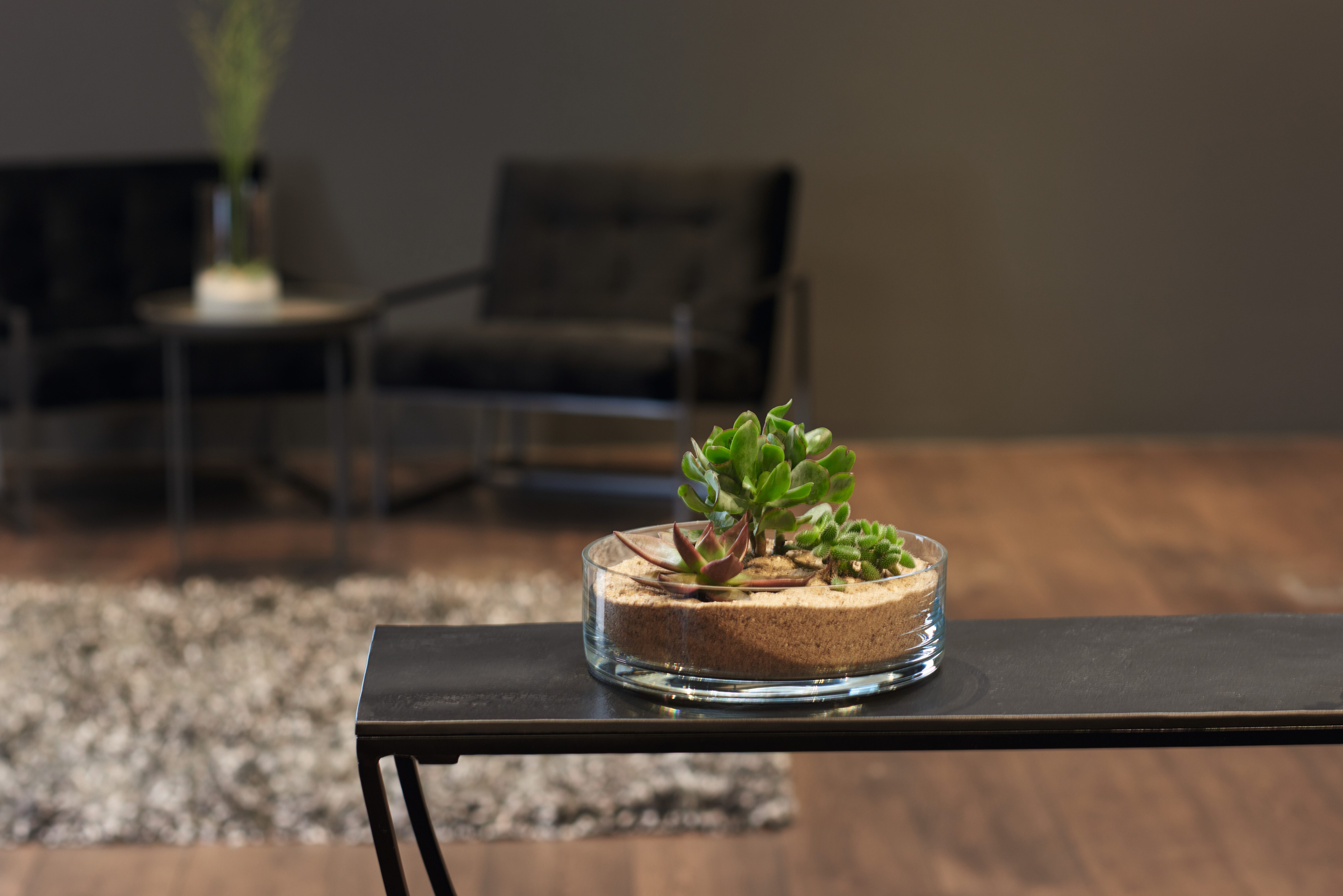 LEONARDO Dekoschale NOVARA 23 cm (1 St) günstig online kaufen