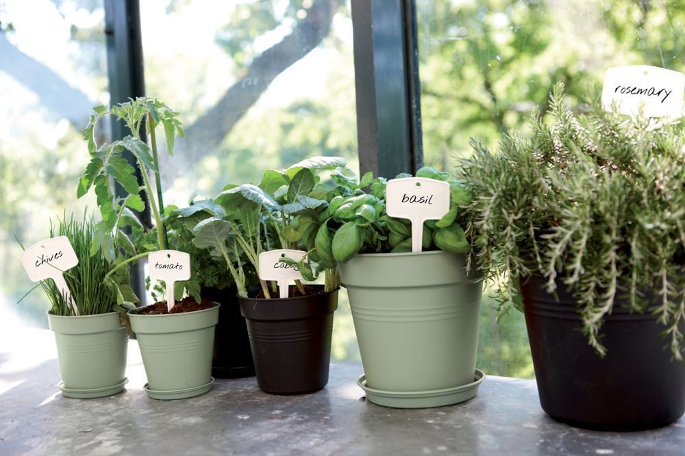 Elho Pflanzkübel green basics anzuchttopf 27cm steingrün günstig online kaufen
