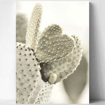 homestyle-accessoires Poster Bilderset FLOWERS SUCCULENTS BEIGE TÜRKIS 6er SET DIN A4 ODER DIN A3 Prints, Ohne Bilderrahmen