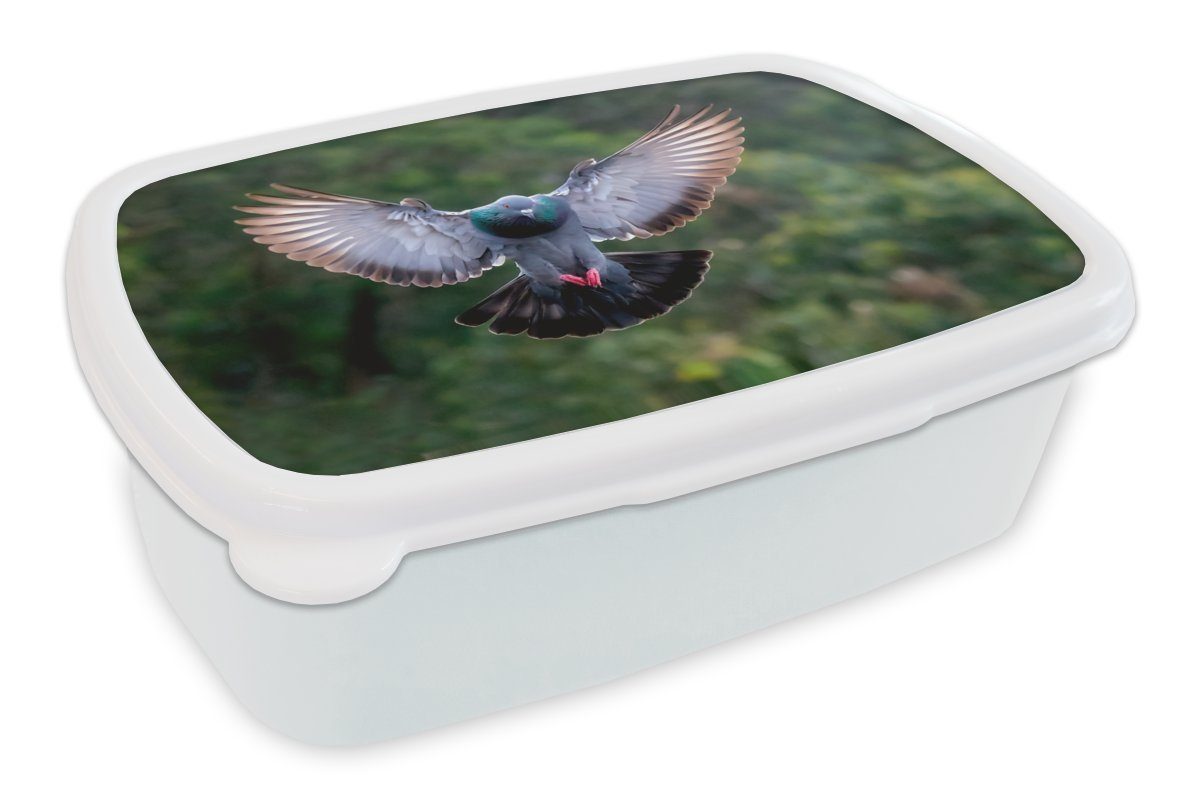MuchoWow Lunchbox Eine fliegende Taube zwischen den grünen Bäumen, Kunststoff, (2-tlg), Brotbox für Kinder und Erwachsene, Brotdose, für Jungs und Mädchen weiß