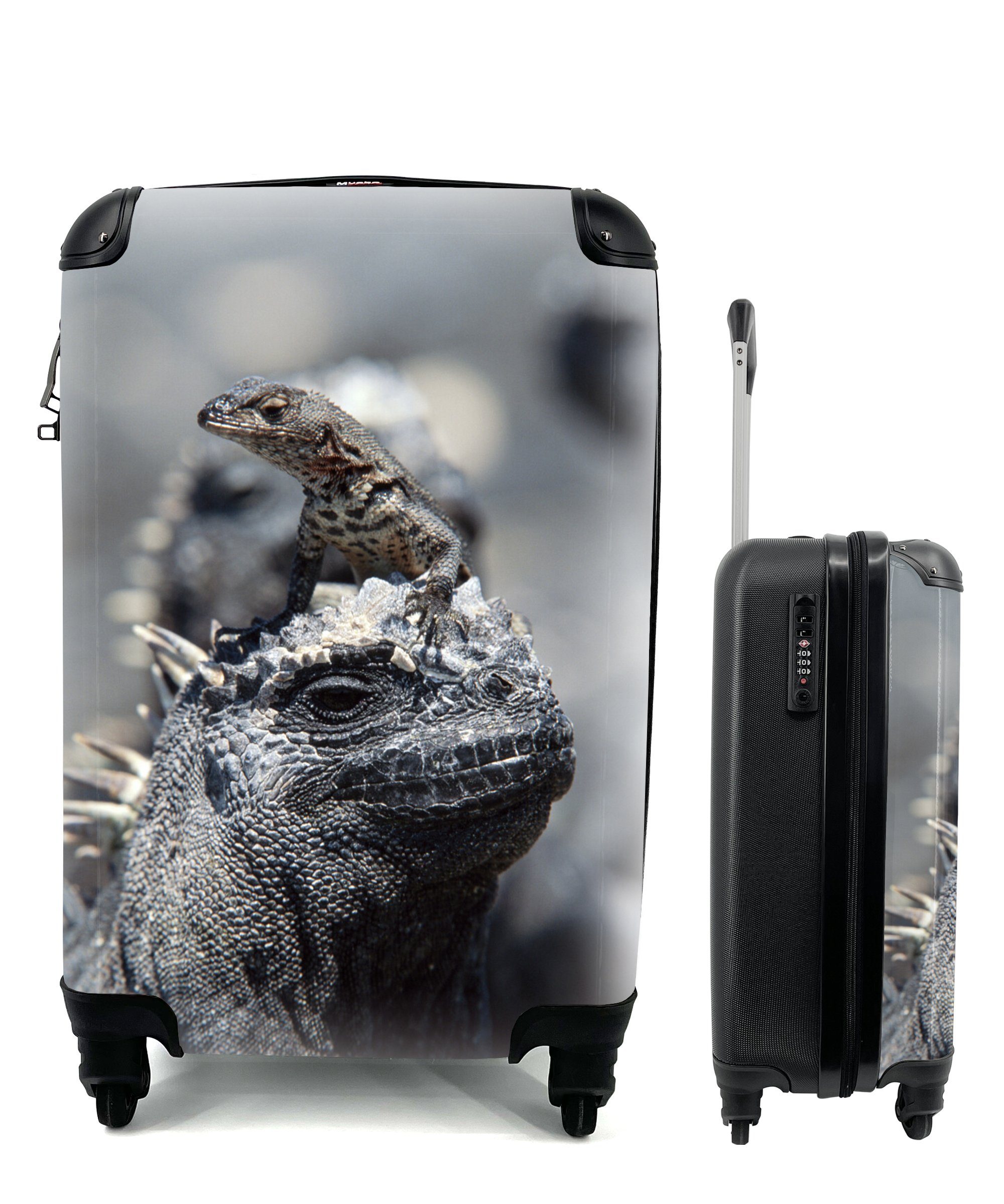 MuchoWow Handgepäckkoffer Leguane - Tiere Ferien, Reisetasche Trolley, 4 - Reisekoffer für Familie, mit rollen, Handgepäck Rollen