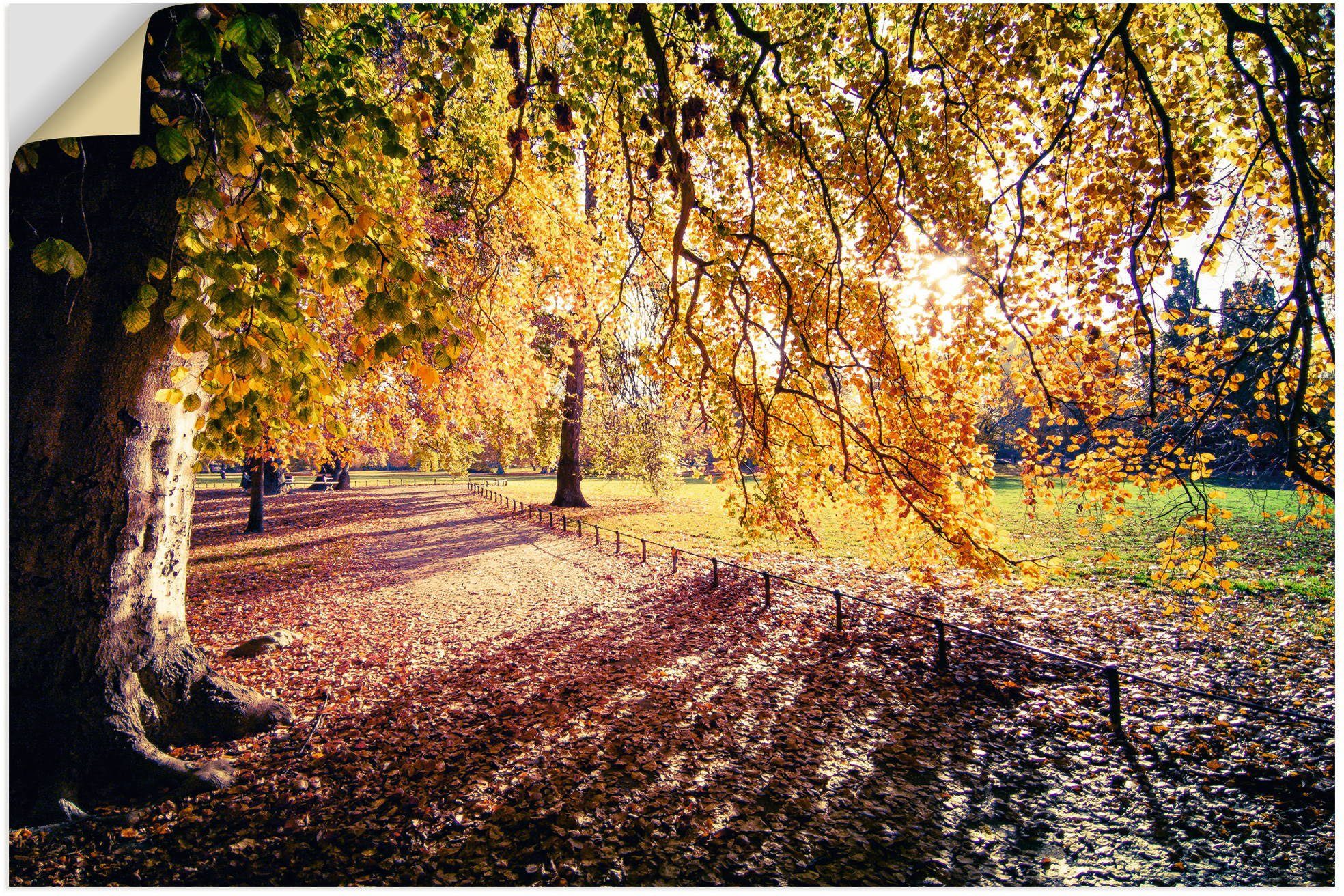 Artland Wandbild Herbstbaum im Sonnenlicht oder Leipzig, Wandaufkleber Poster Blätterbilder als Alubild, St), (1 versch. in Leinwandbild, in Größen