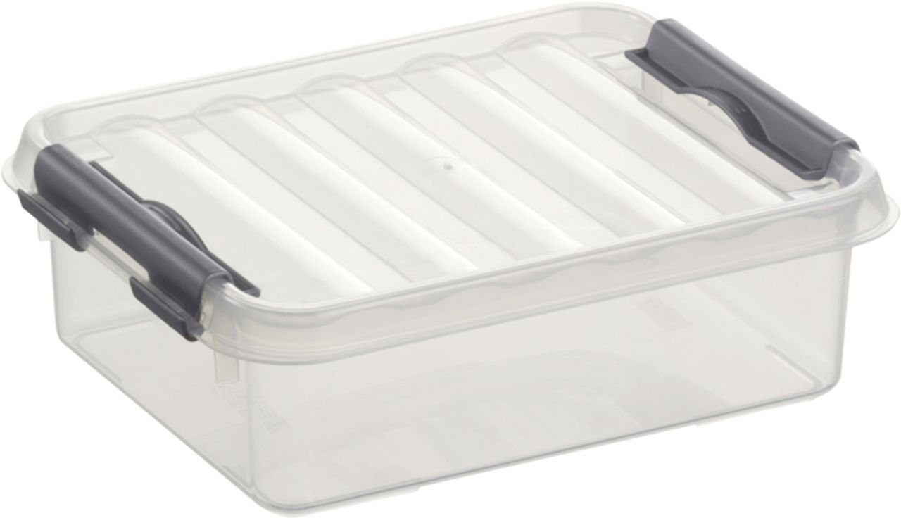 Sunware Aufbewahrungsbox Sunware Aufbewahrungsbox 1L transparent günstig online kaufen