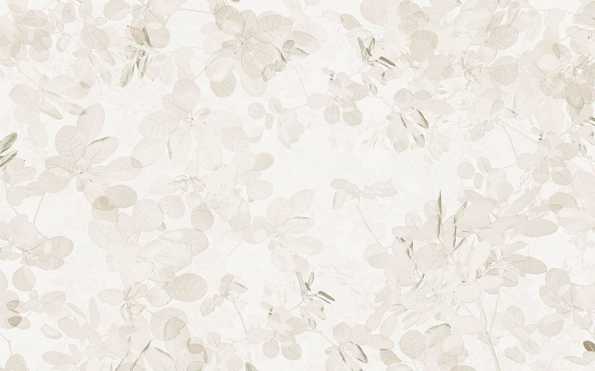 Komar Vliestapete Digitaldruck Vlies - Sheer Grey - Größe 400 x 250 cm, glatt, bedruckt, (1 St), Wohnzimmer, Schlafzimmer