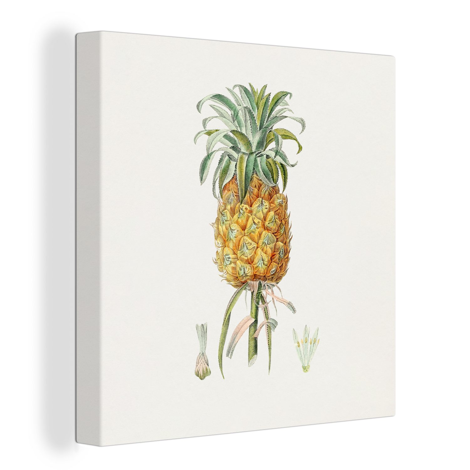 OneMillionCanvasses® Leinwandbild Ananas - Frucht - Pflanze, (1 St), Leinwand Bilder für Wohnzimmer Schlafzimmer