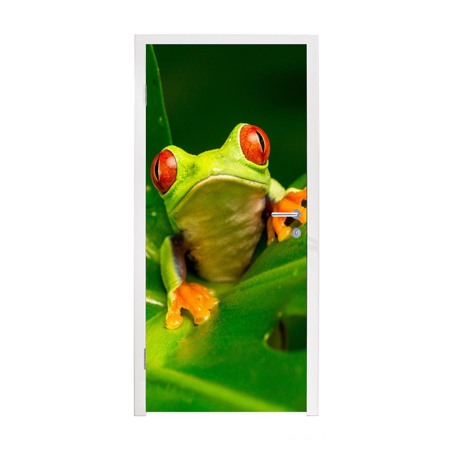 MuchoWow Türtapete Frosch - Blätter, Matt, bedruckt, (1 St), Fototapete für Tür, Türaufkleber, 75x205 cm