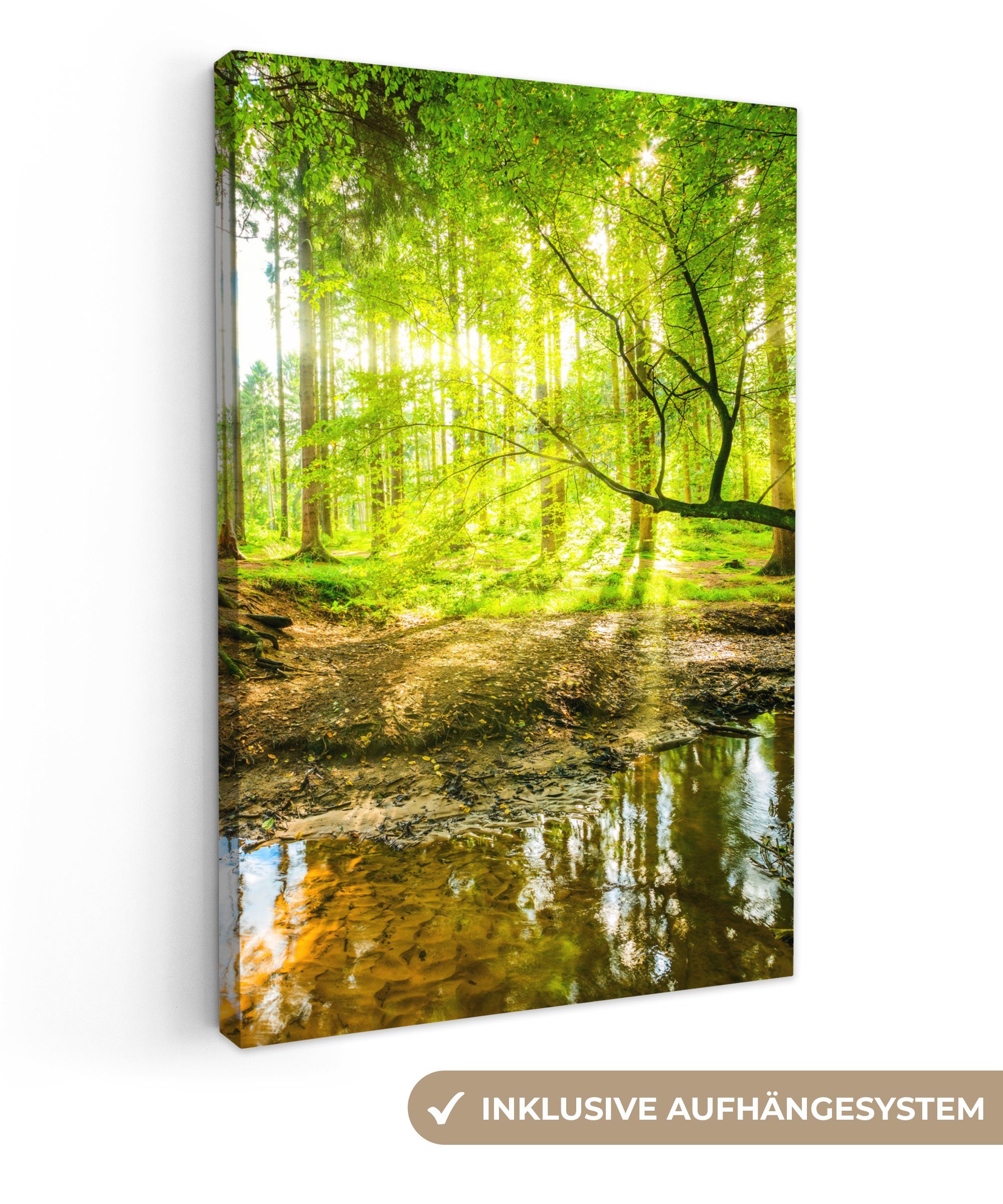 OneMillionCanvasses® Leinwandbild Wald - Landschaft - Wasser - Bäume - Sonne - Grün - Natur, Fotodruck (1 St), Leinwand Canvas Wandbild, Wanddekoration 20x30 cm