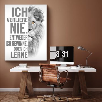 wandmotiv24 Leinwandbild Löwen, Hochformat, Löwe, ich verliere nie, Weiß, Tiere (1 St), Wandbild, Wanddeko, Leinwandbilder in versch. Größen