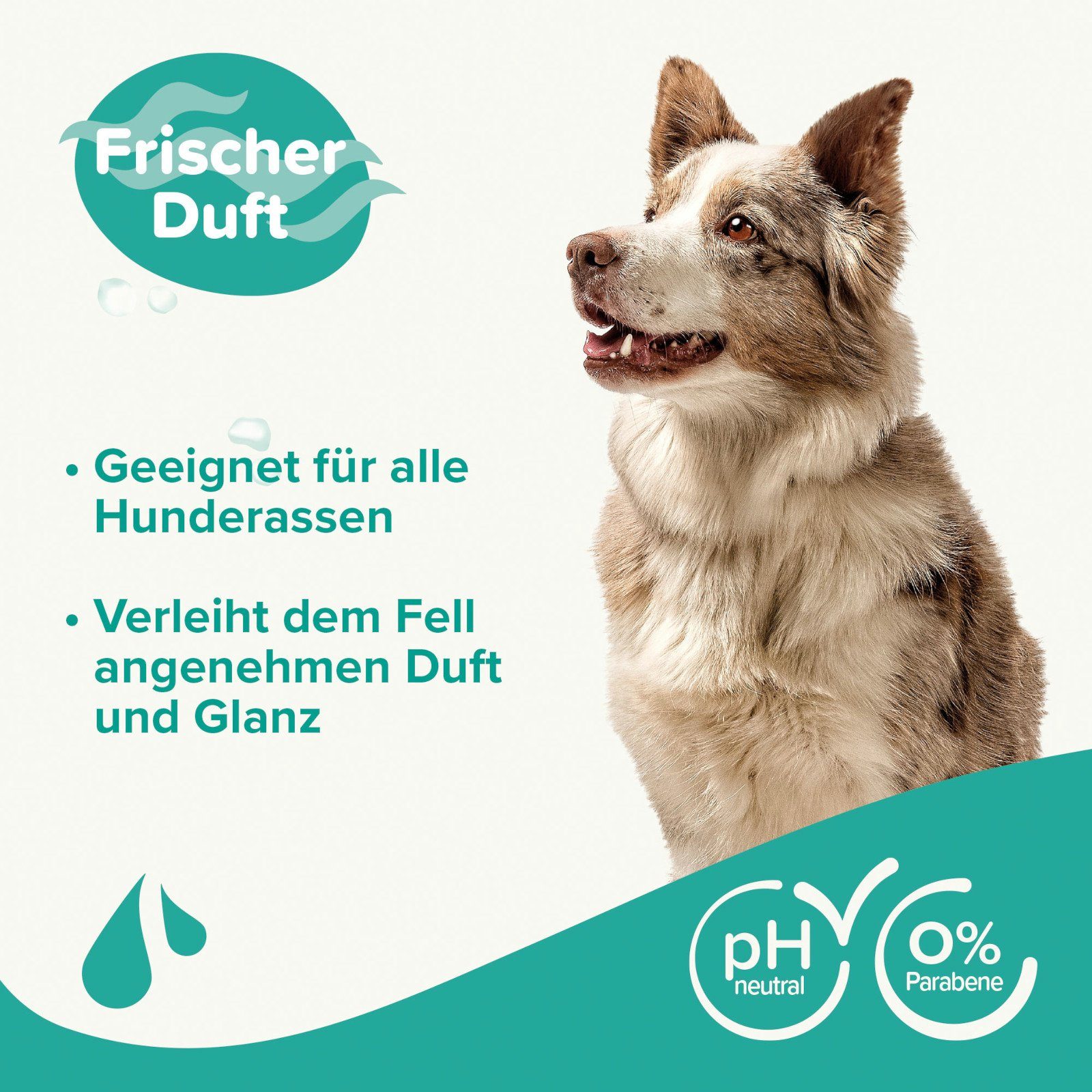 beaphar Tiershampoo Hunde Shampoo Fell-Glanz - 250 ml, 250 ml