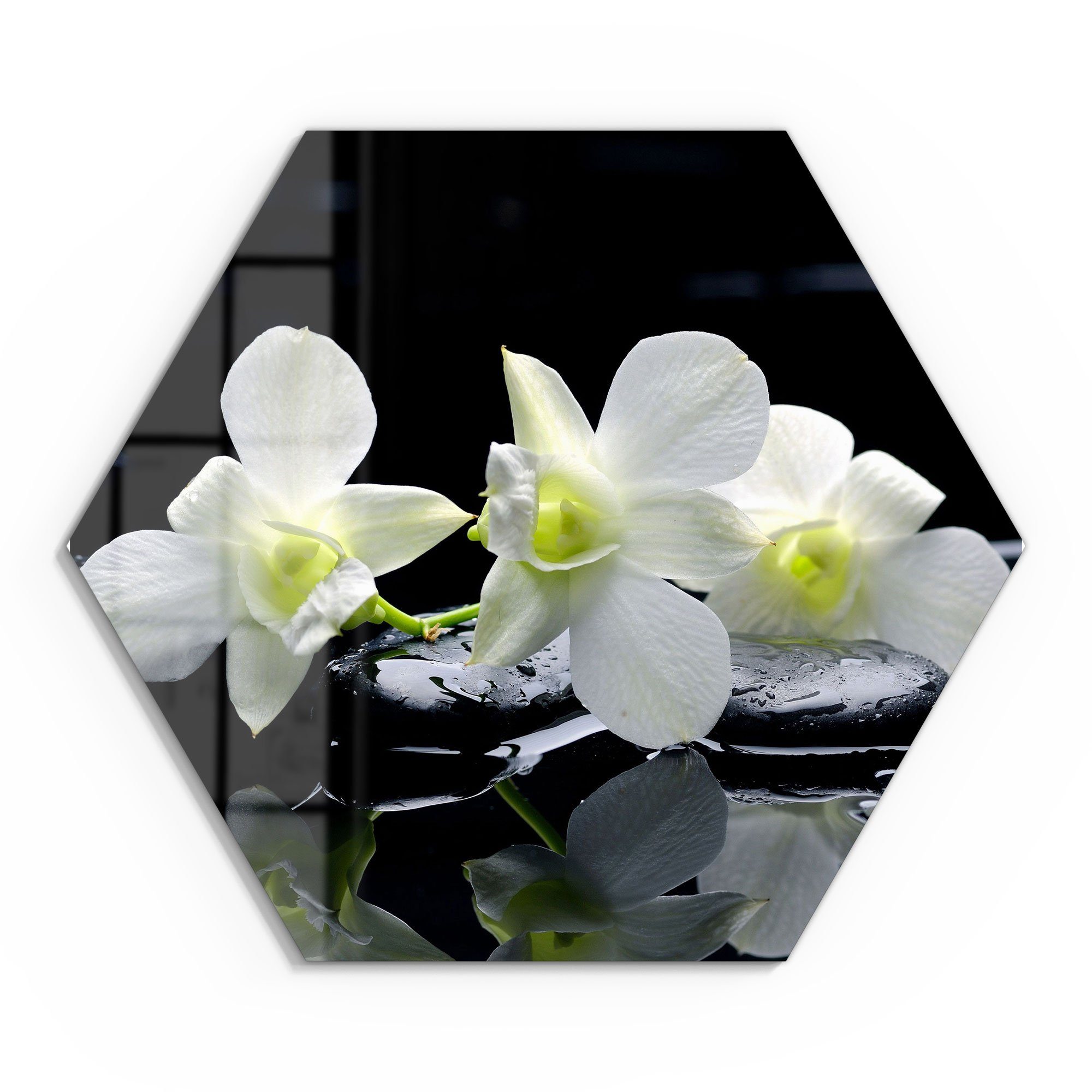 DEQORI Glasbild 'Orchidee mit Zen-Steinen', 'Orchidee günstig online kaufen