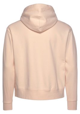 Levi's® Plus Kapuzensweatshirt PL GRAPHIC STNDRD HOODIE