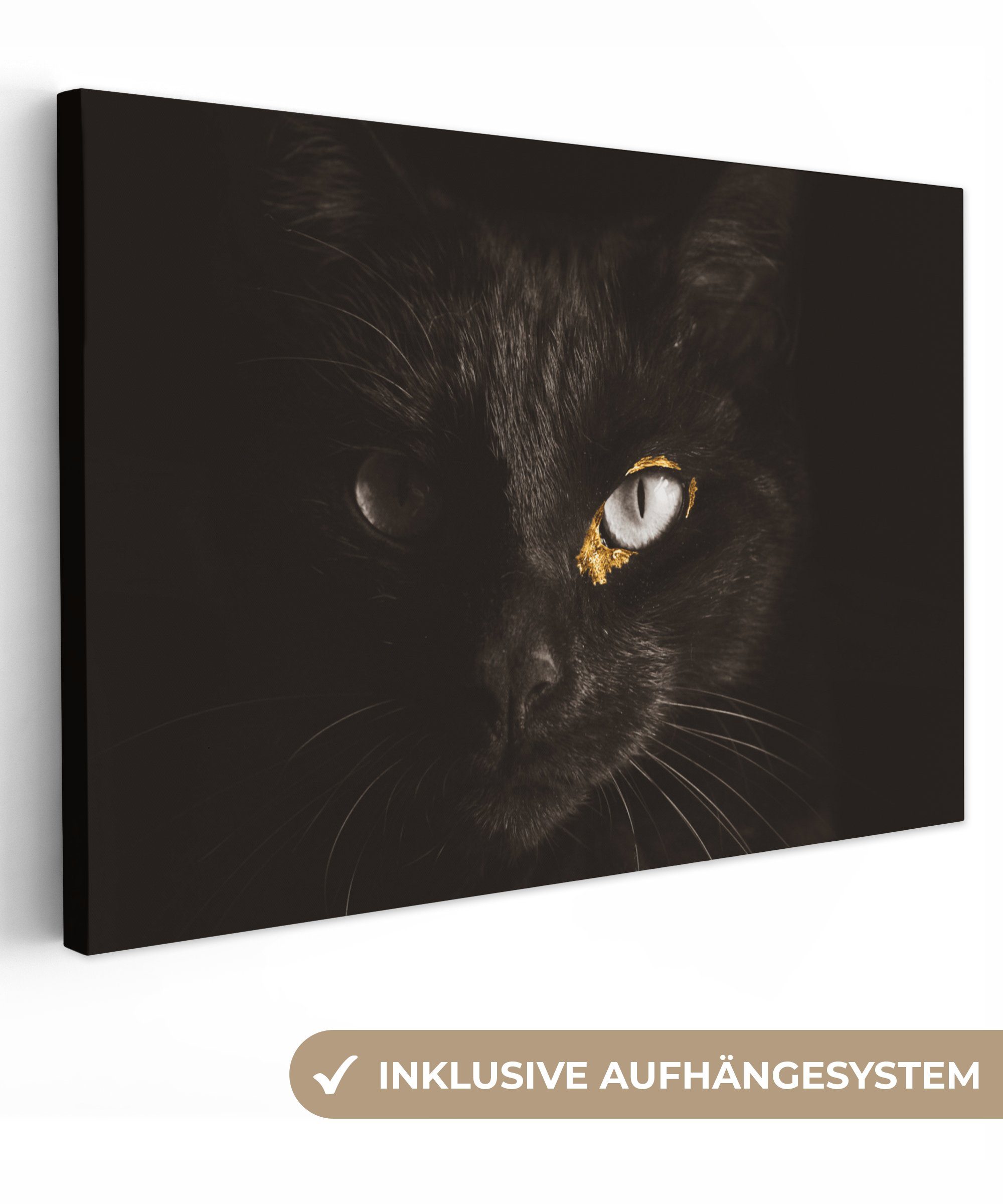 OneMillionCanvasses® Leinwandbild Katze - Gold - günstig online kaufen