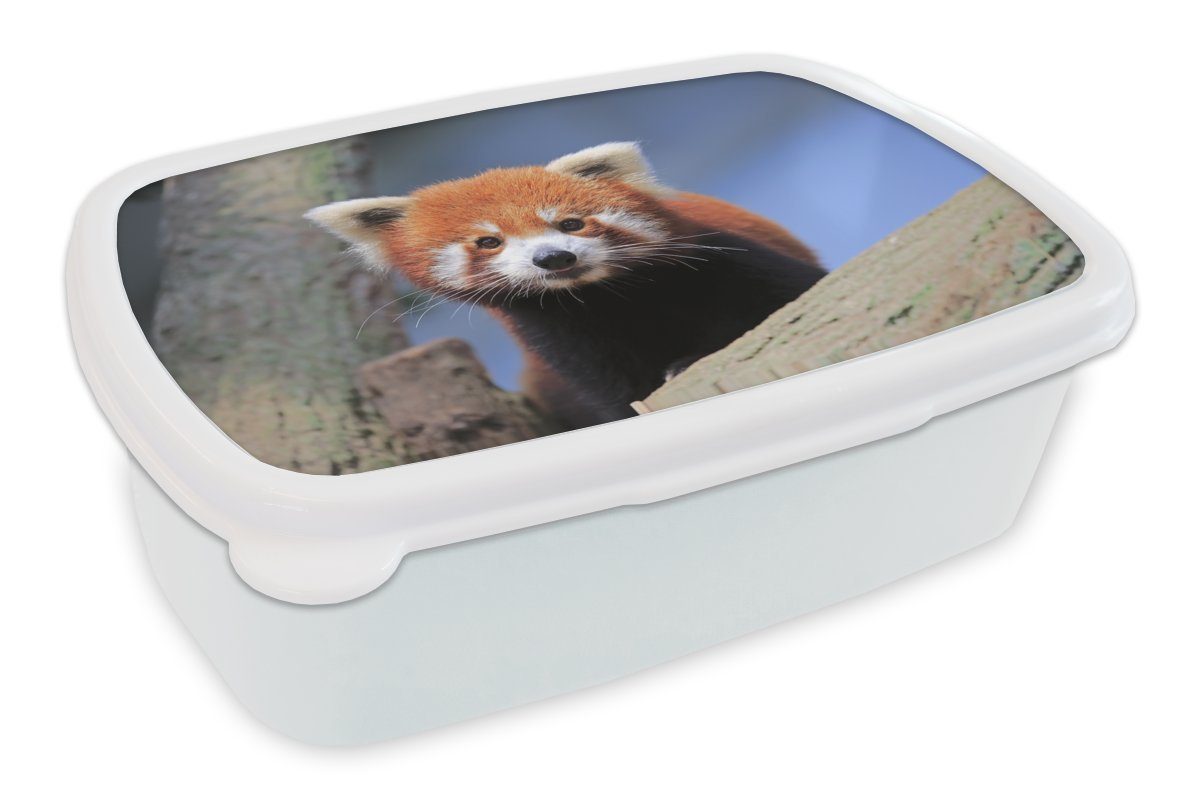 MuchoWow Lunchbox Roter Kinder Erwachsene, Panda (2-tlg), und - Orange Kunststoff, für Brotbox - Jungs weiß und Baum, Mädchen Brotdose, für