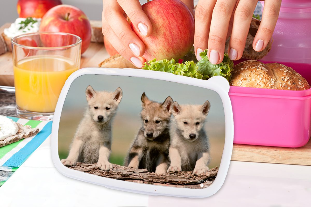 Lunchbox Kinder, (2-tlg), Kind Brotdose rosa - Holz, Snackbox, Erwachsene, für Brotbox Kunststoff, MuchoWow Wolf - Kunststoff Mädchen,
