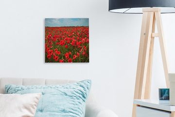 OneMillionCanvasses® Leinwandbild Eine Wiese voller Mohnblumen, (1 St), Leinwand Bilder für Wohnzimmer Schlafzimmer