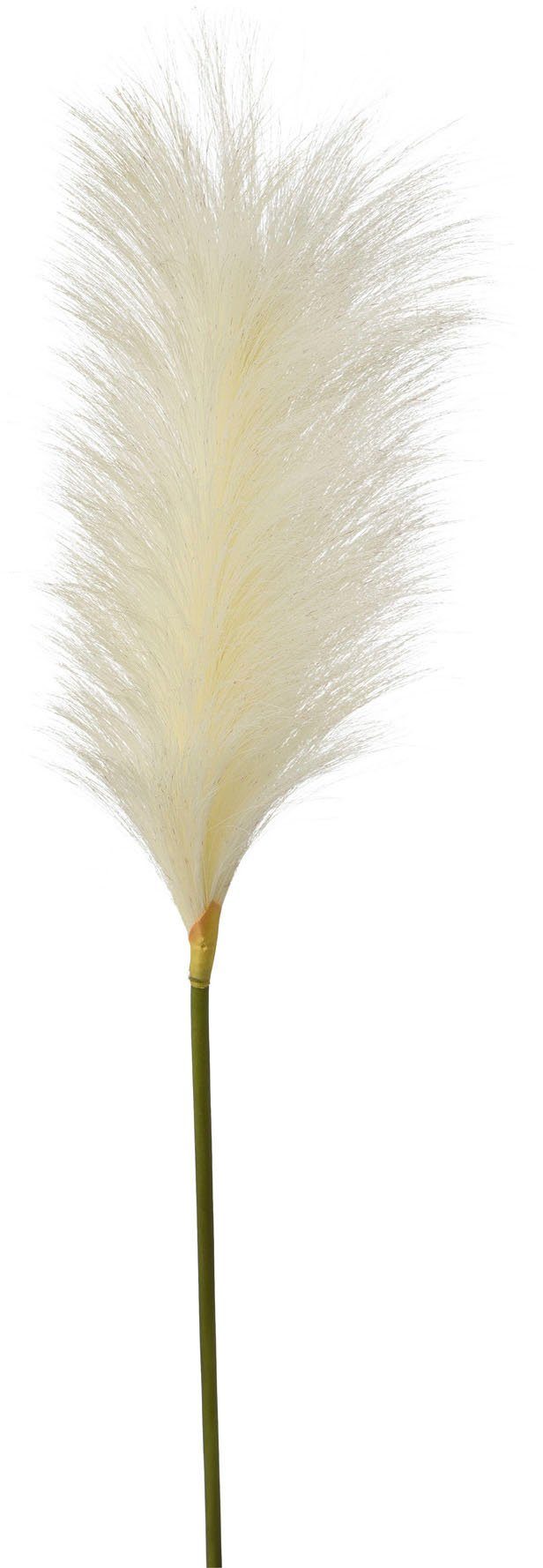 Kunstzweig Pampasgras Pampasgras, Creativ green, Höhe 110 cm günstig online kaufen
