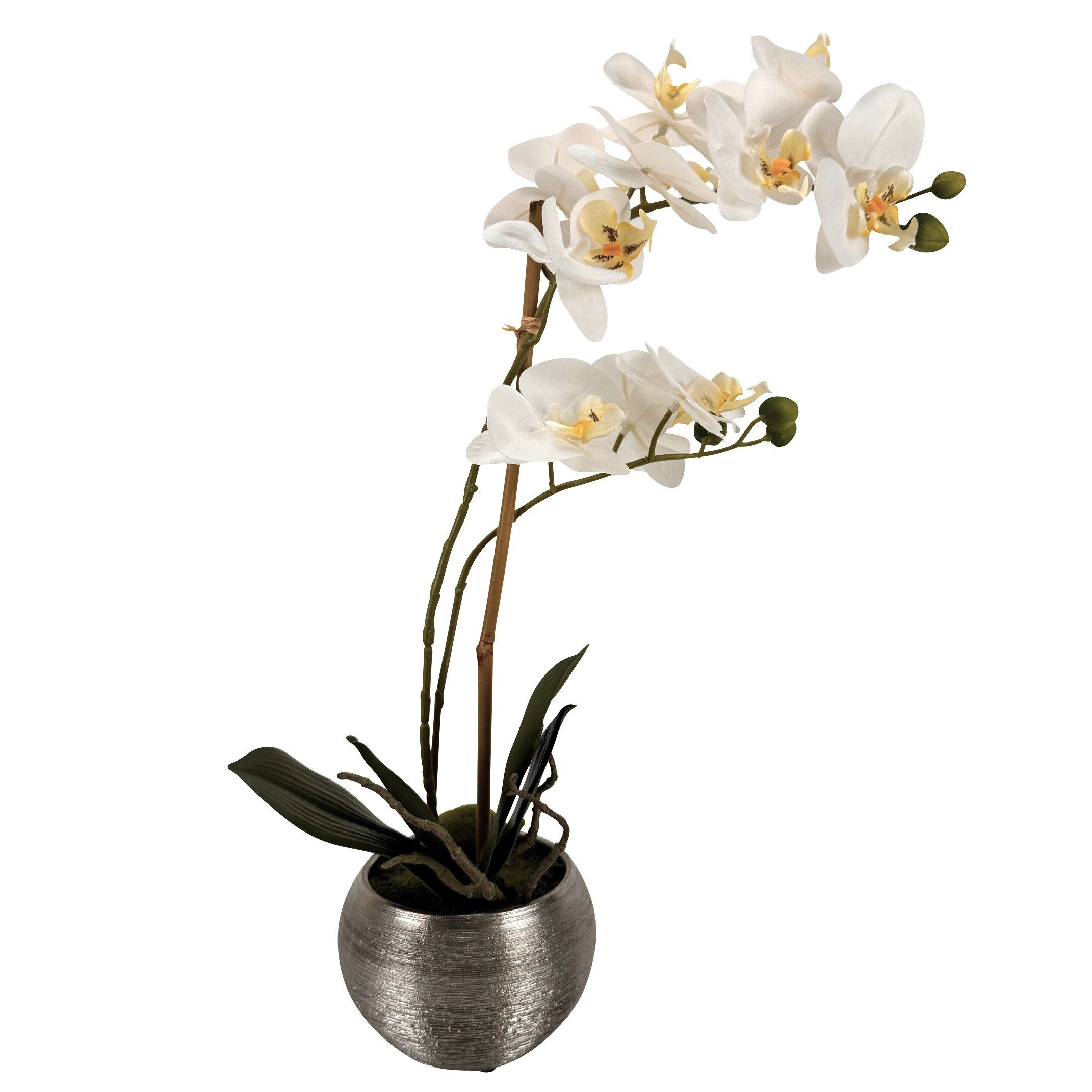 Kunstblume Künstliche Blumen, Pflanzen mit silbernen Topf - wie echt, real günstig online kaufen