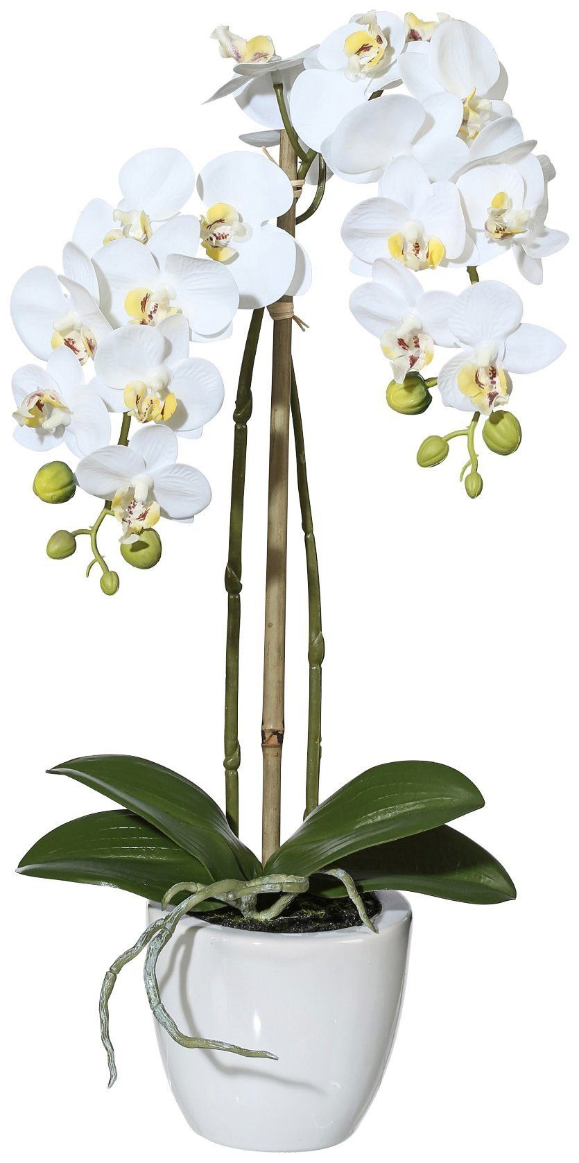 Keramiktopf Höhe weiß cm, Creativ Phalaenopsis green, im Orchidee Orchidee, 43 Kunstpflanze