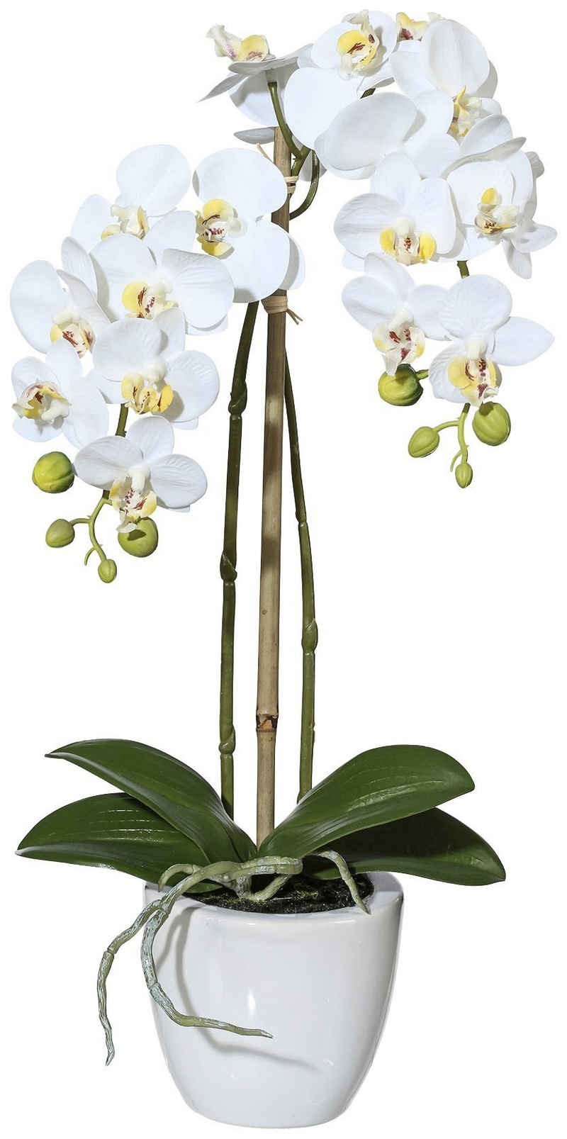 Kunstpflanze Orchidee Phalaenopsis Orchidee, Creativ green, Höhe 43 cm, im Keramiktopf
