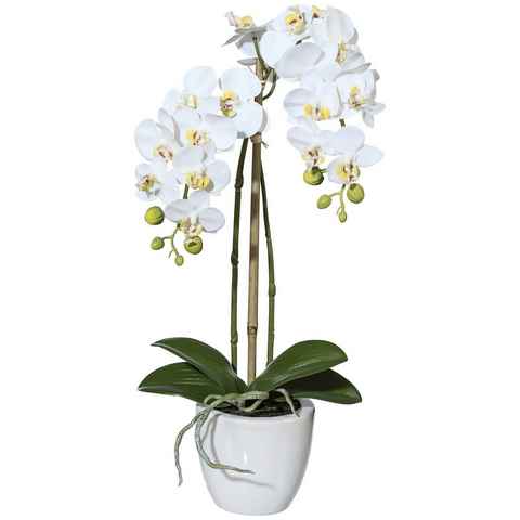 Kunstpflanze Orchidee Phalaenopsis Orchidee, Creativ green, Höhe 43 cm, im Keramiktopf