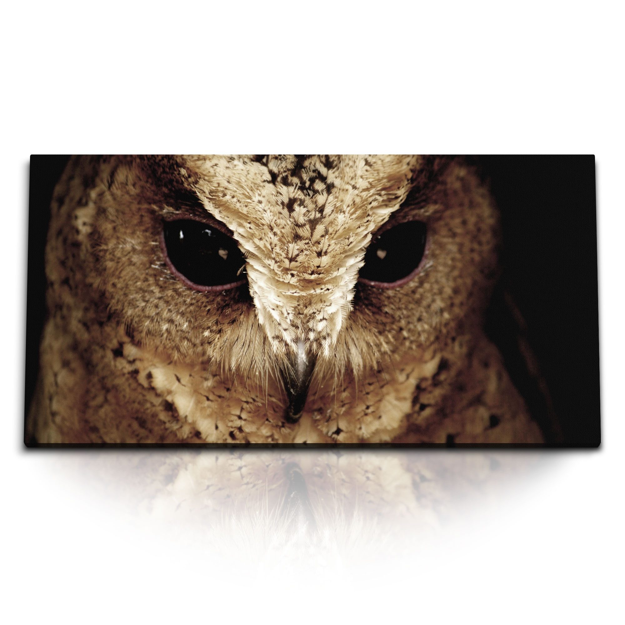 Leinwandbild Kunstdruck Bilder 120x60cm Porträt einer Eule Tierfotografie Vogelfoto