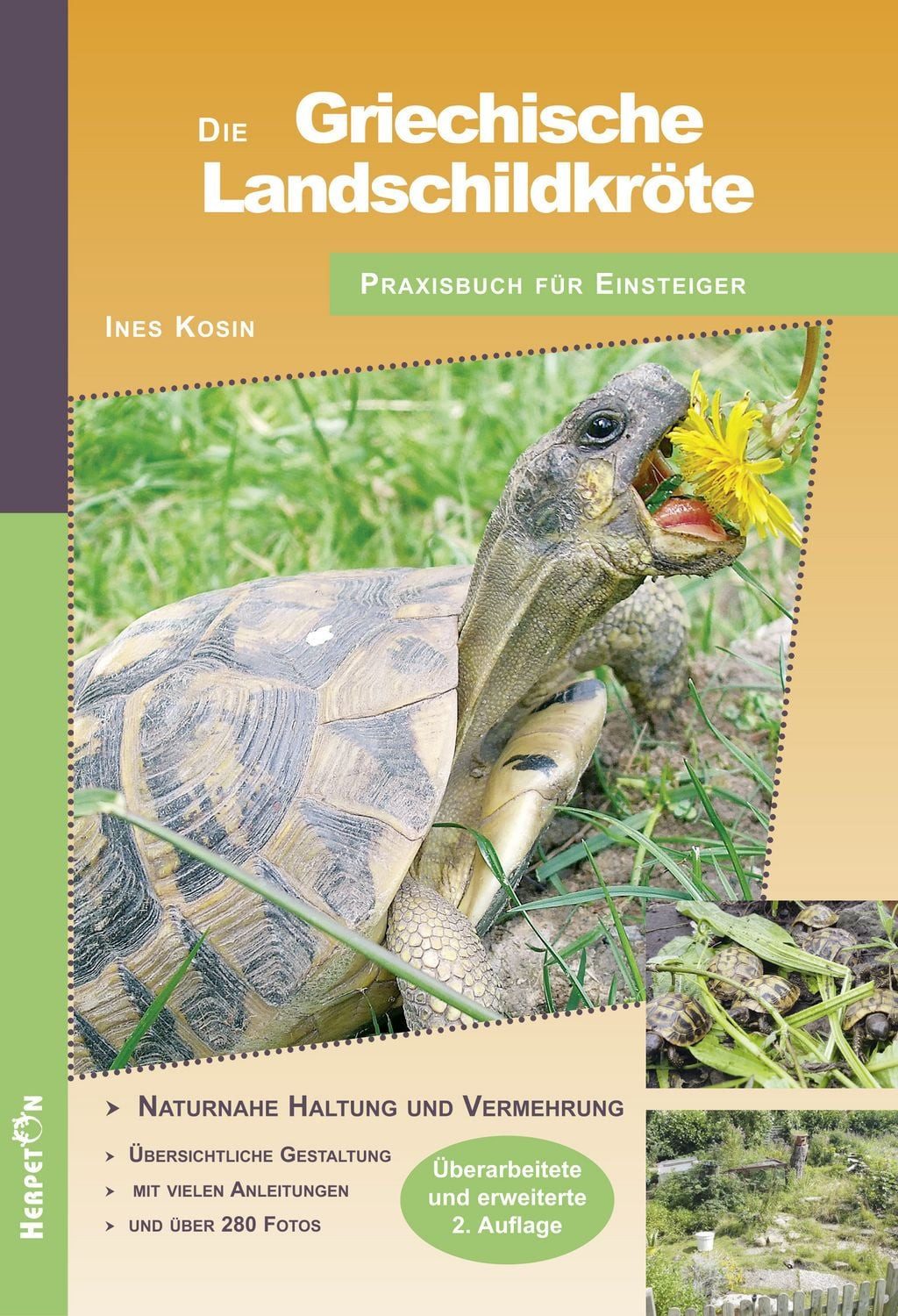 Die Griechische Landschildkröte / Ines Kosin