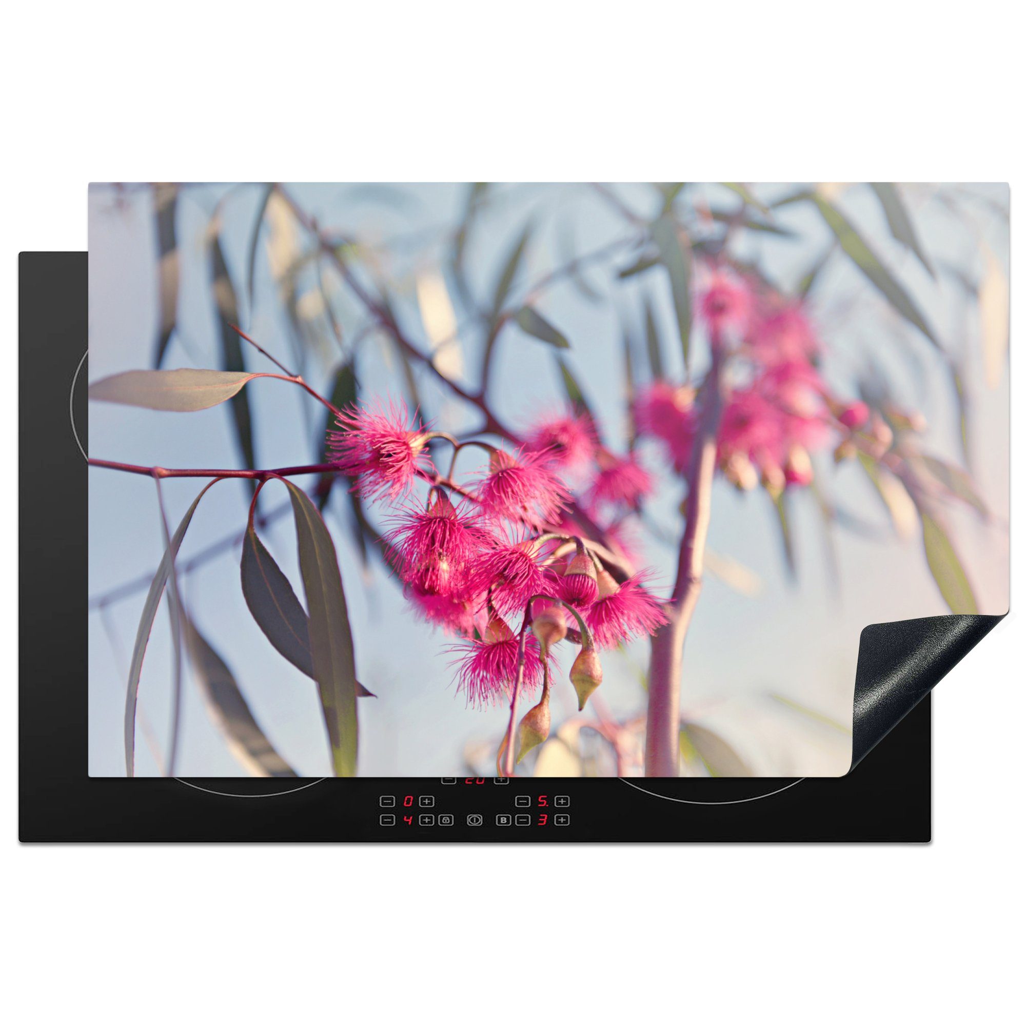 MuchoWow Herdblende-/Abdeckplatte Rosa Eukalyptuszweige in einem Baum, Vinyl, (1 tlg), 81x52 cm, Induktionskochfeld Schutz für die küche, Ceranfeldabdeckung