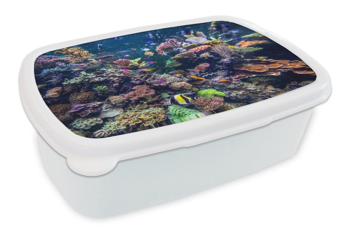 Korallen, für schwimmen Kunststoff, weiß zwischen den und (2-tlg), Erwachsene, und all für Lunchbox Brotdose, Jungs Kinder Brotbox MuchoWow Bunte Mädchen Fische