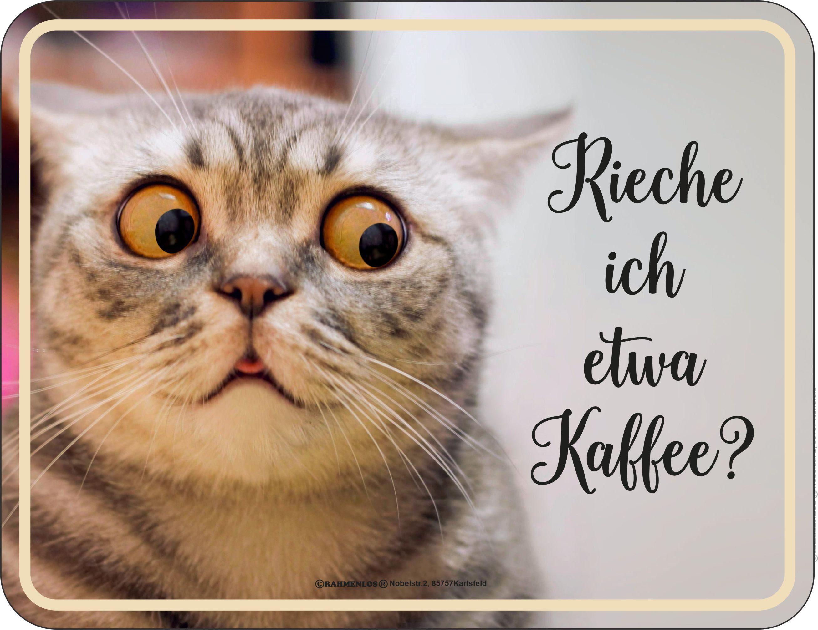 RAHMENLOS® Metallschild für Katzenfreunde: Rieche ich etwa Kaffee?