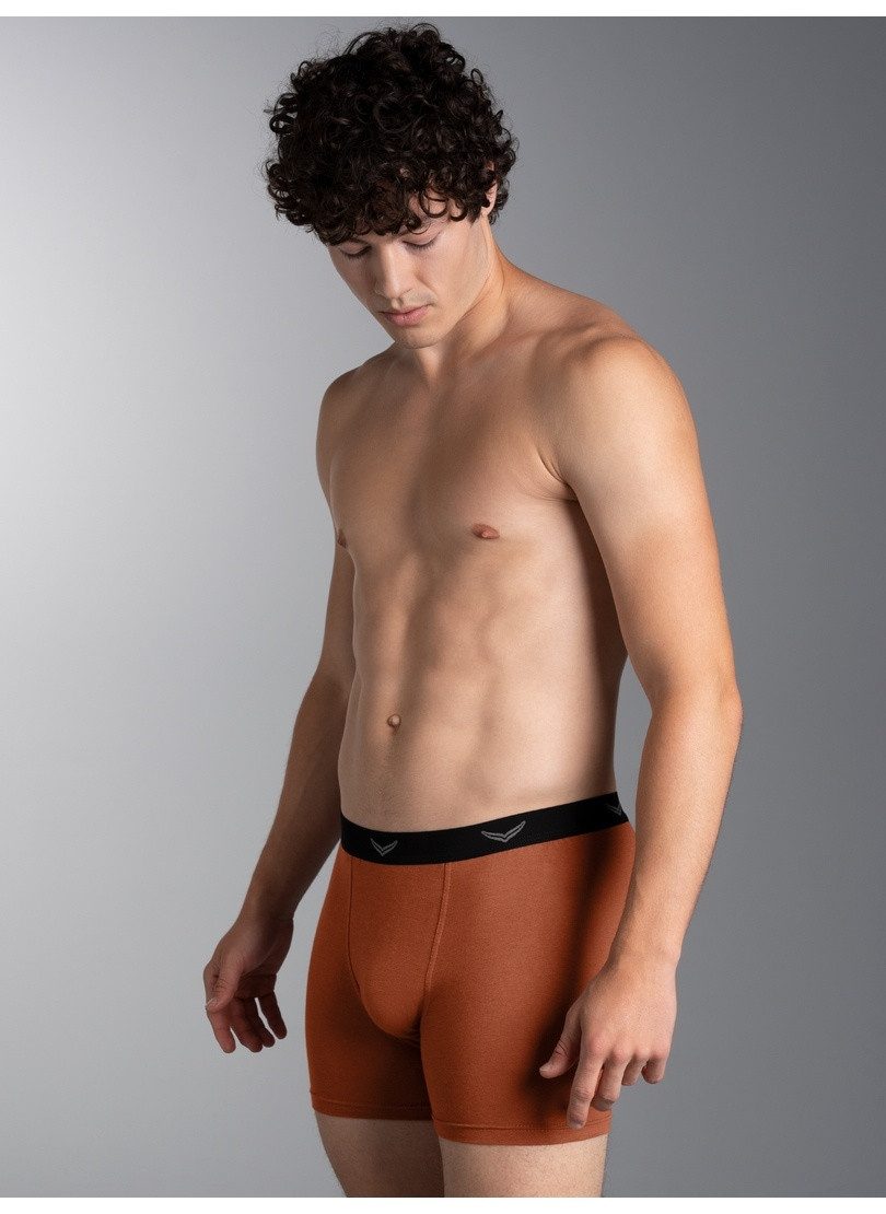 Trigema Boxer TRIGEMA Bequeme Pants mit Webgummibund (1-St)