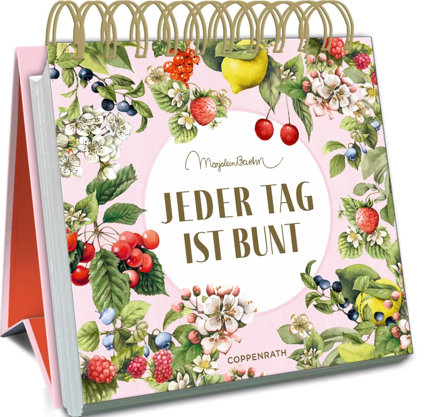 Jeder Tag ist bunt / diverse