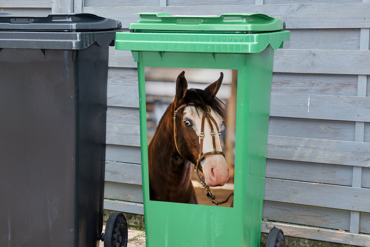 Abfalbehälter Mülltonne, Sticker, Criollo St), (1 - Wandsticker Pferd Braun - Weiß Container, - MuchoWow Mülleimer-aufkleber,