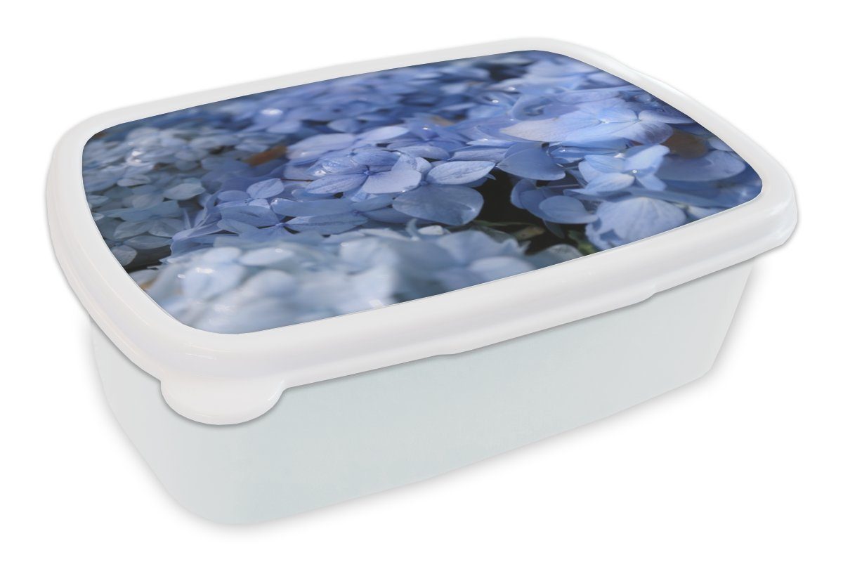 MuchoWow Lunchbox Blaue Hortensien mit Wassertropfen, Kunststoff, (2-tlg), Brotbox für Kinder und Erwachsene, Brotdose, für Jungs und Mädchen weiß