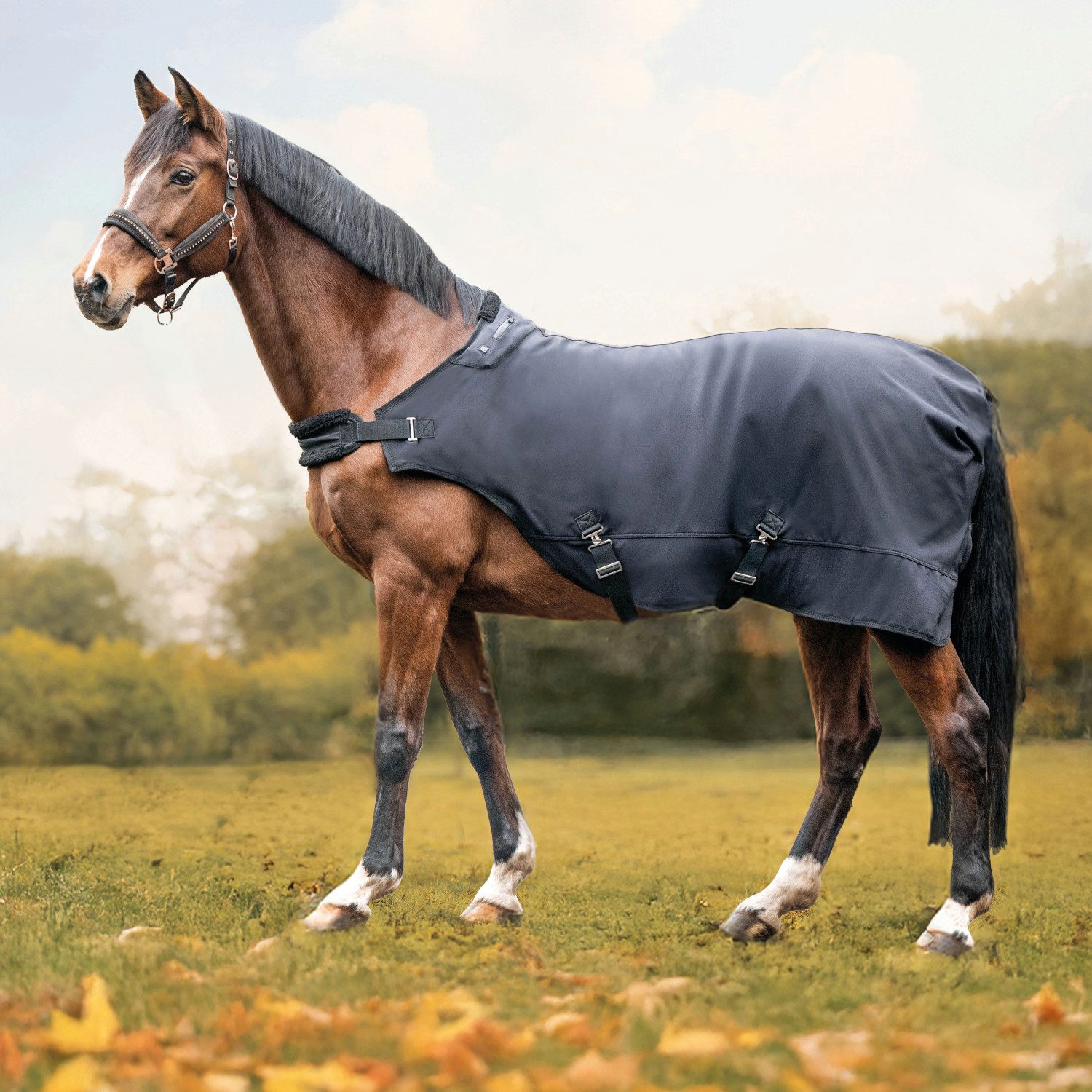 HKM Pferde-Nierendecke HKM Heizdecke EquineCarePro