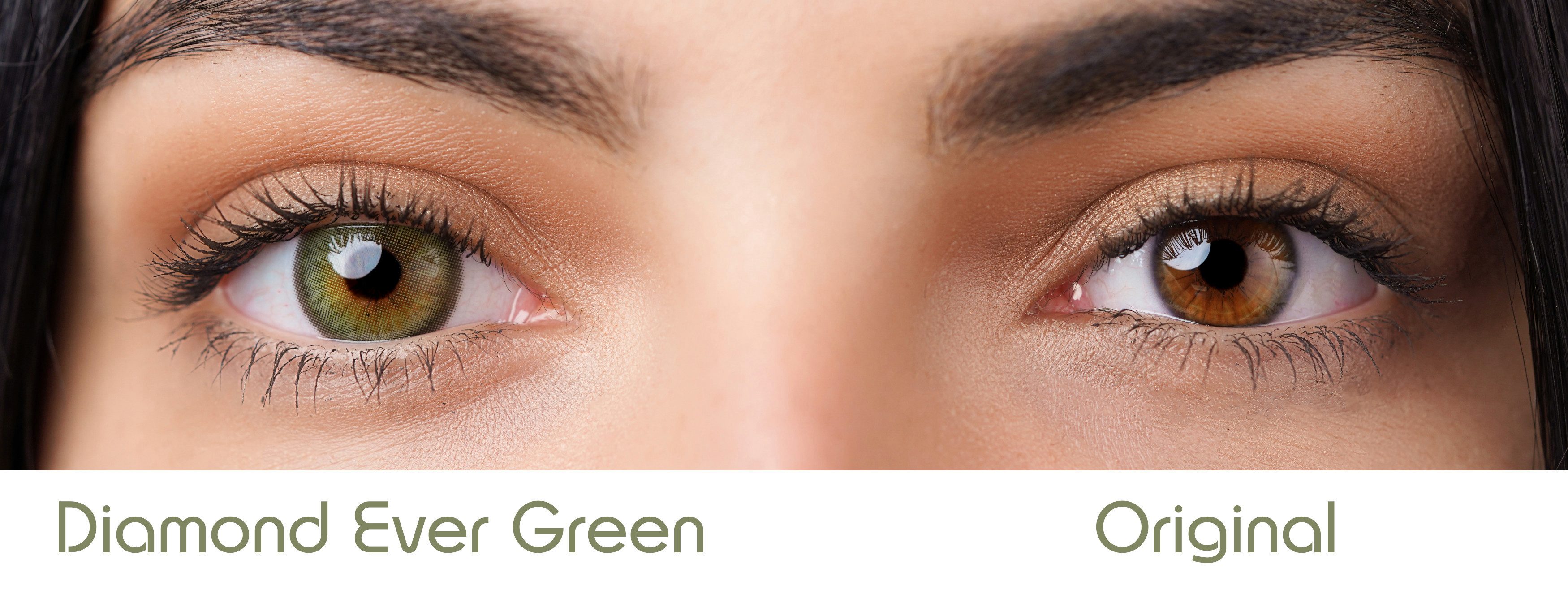 Charmiga Jahreslinsen Farbige Kontaktlinsen grün, 6-Monatslinsen, Diamond Ever Green, Farbige Kontaktlinsen