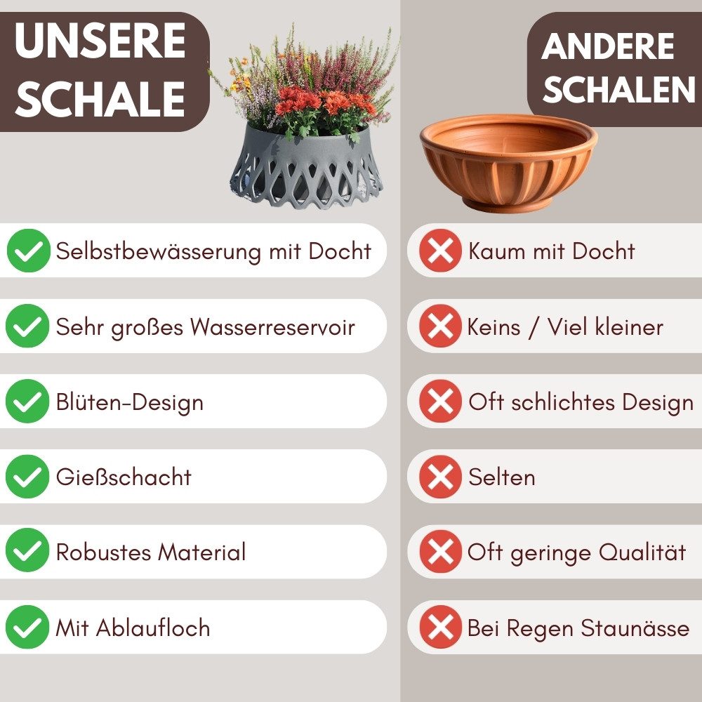 GarPet Pflanzschale Grabschale mit Selbstbewässerung Grabvase mit Wasserspeicher Friedhof