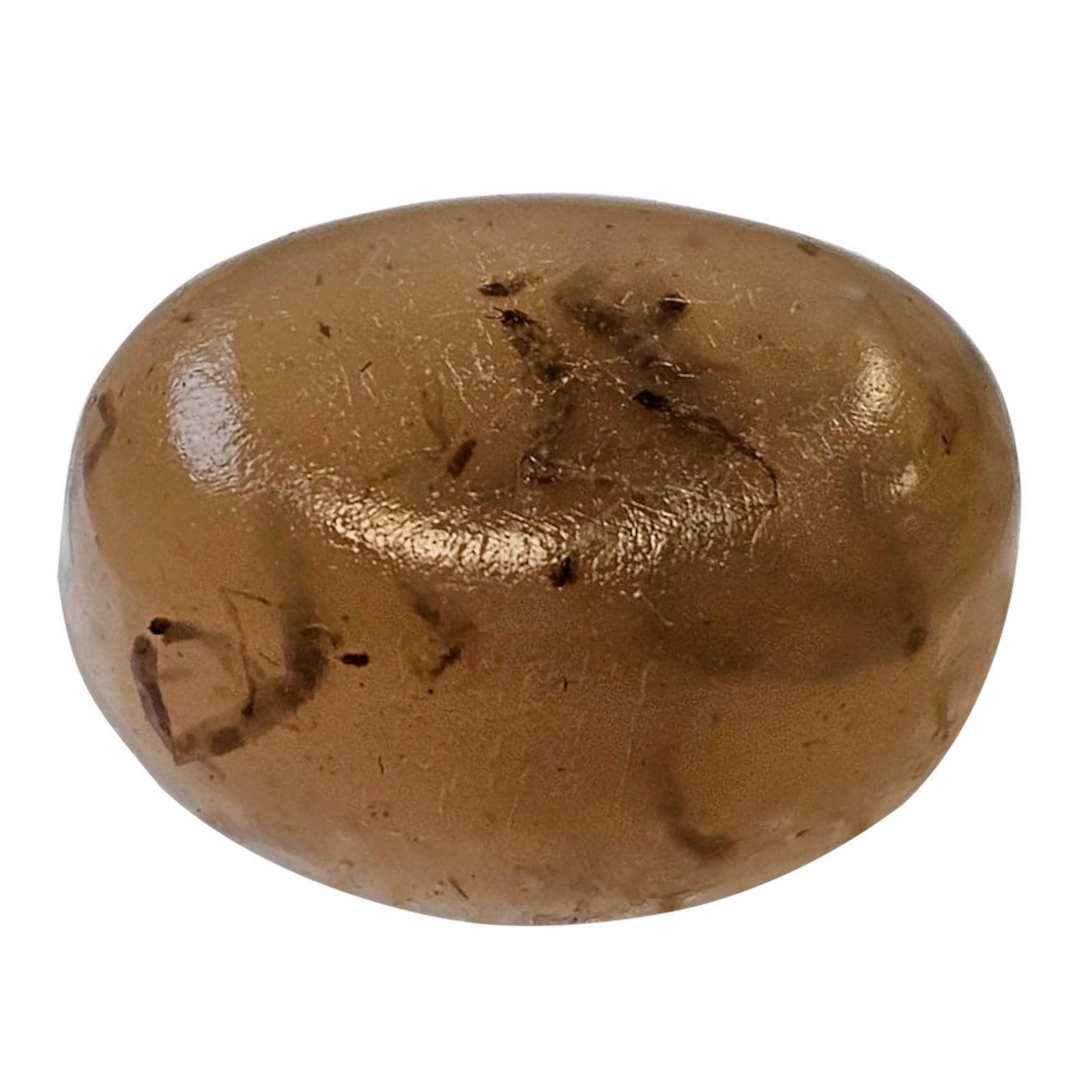 Dupla Zierfischfutter Gel-o-Drops Red Mosquito, 12x 2 g, Hauptfutter für: Fische