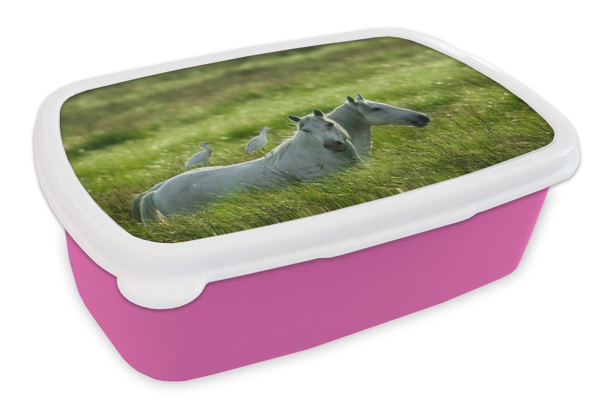 MuchoWow Lunchbox Pferde - Vogel - Gras, Kunststoff, (2-tlg), Brotbox für Erwachsene, Brotdose Kinder, Snackbox, Mädchen, Kunststoff rosa
