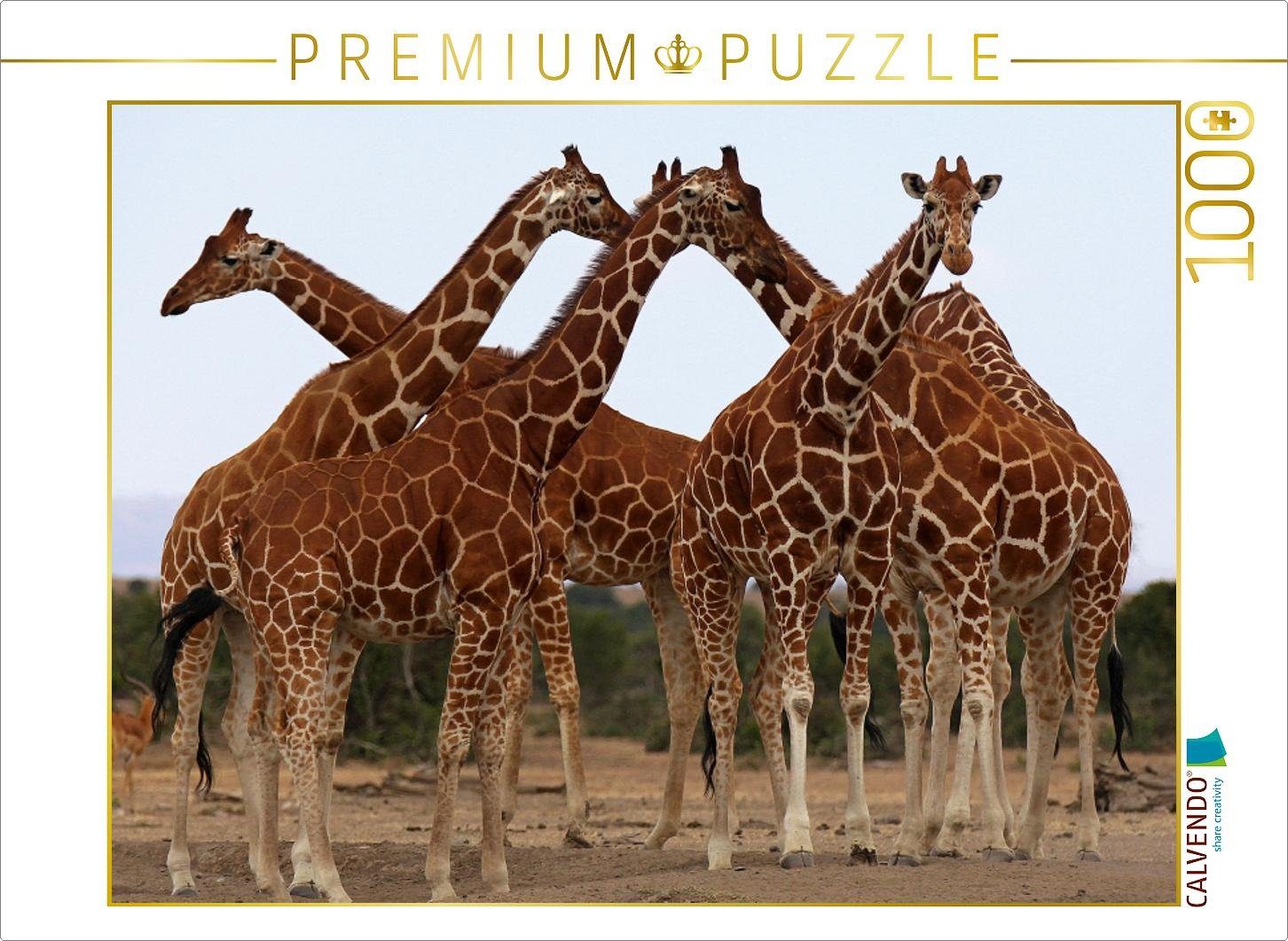 CALVENDO Puzzle CALVENDO Puzzle Giraffen – Meeting 1000 Teile Lege-Größe 64 x 48 cm Foto-Puzzle Bild von Michael Herzog, 1000 Puzzleteile